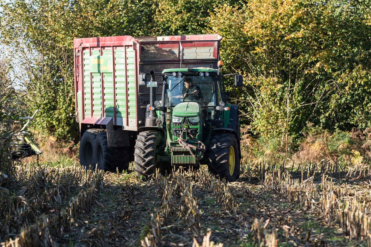 Bild 110 - Maisernte